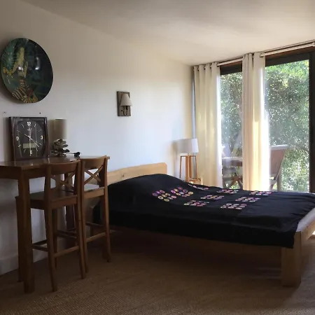 Apartment Independent St Clement Of Rivers 5 Mn Montpellier Saint-Clement-de-Riviere