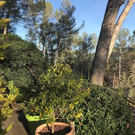 Apartment Independent St Clement Of Rivers 5 Mn Montpellier