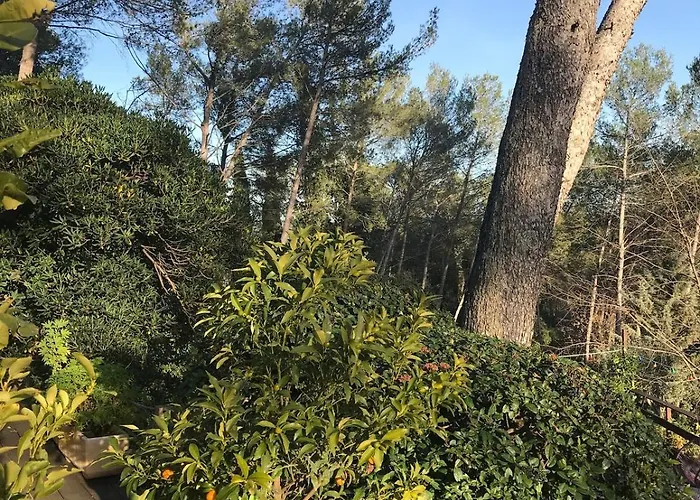 Apartmán Independent St Clement Of Rivers 5 Mn Montpellier